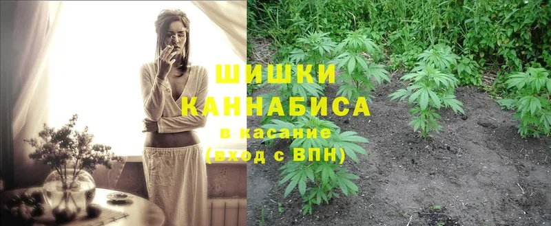 Бошки марихуана SATIVA & INDICA  Урень 